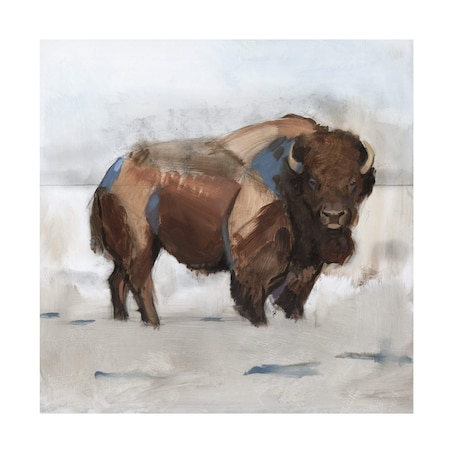 Jacob Green 'Lodge Guardian I' Canvas Art, 35x35